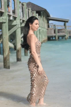 JLUXLABEL Beige Opulent Sunsets Maxi Dress