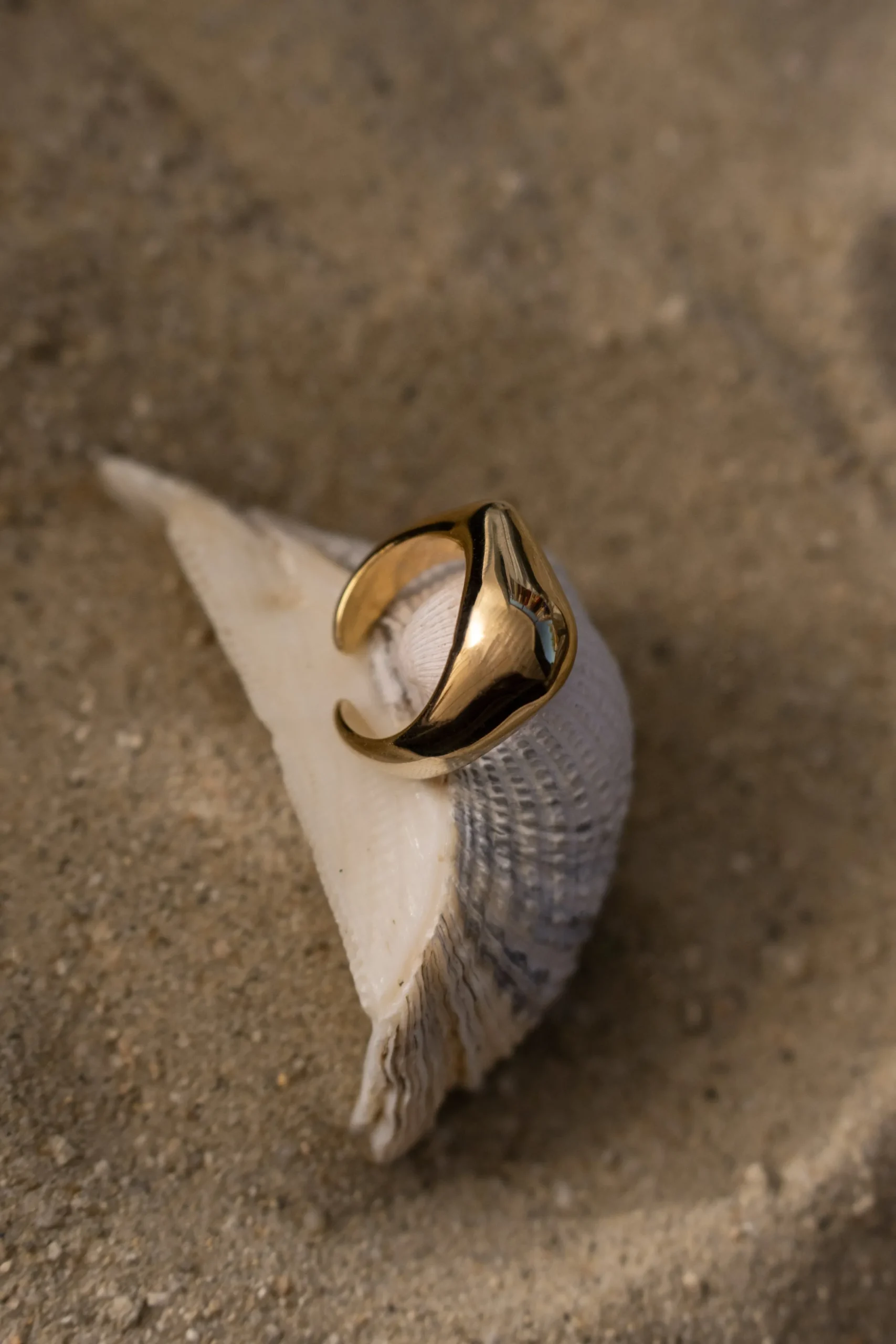 JLUXLABEL Gold Lucci Ring