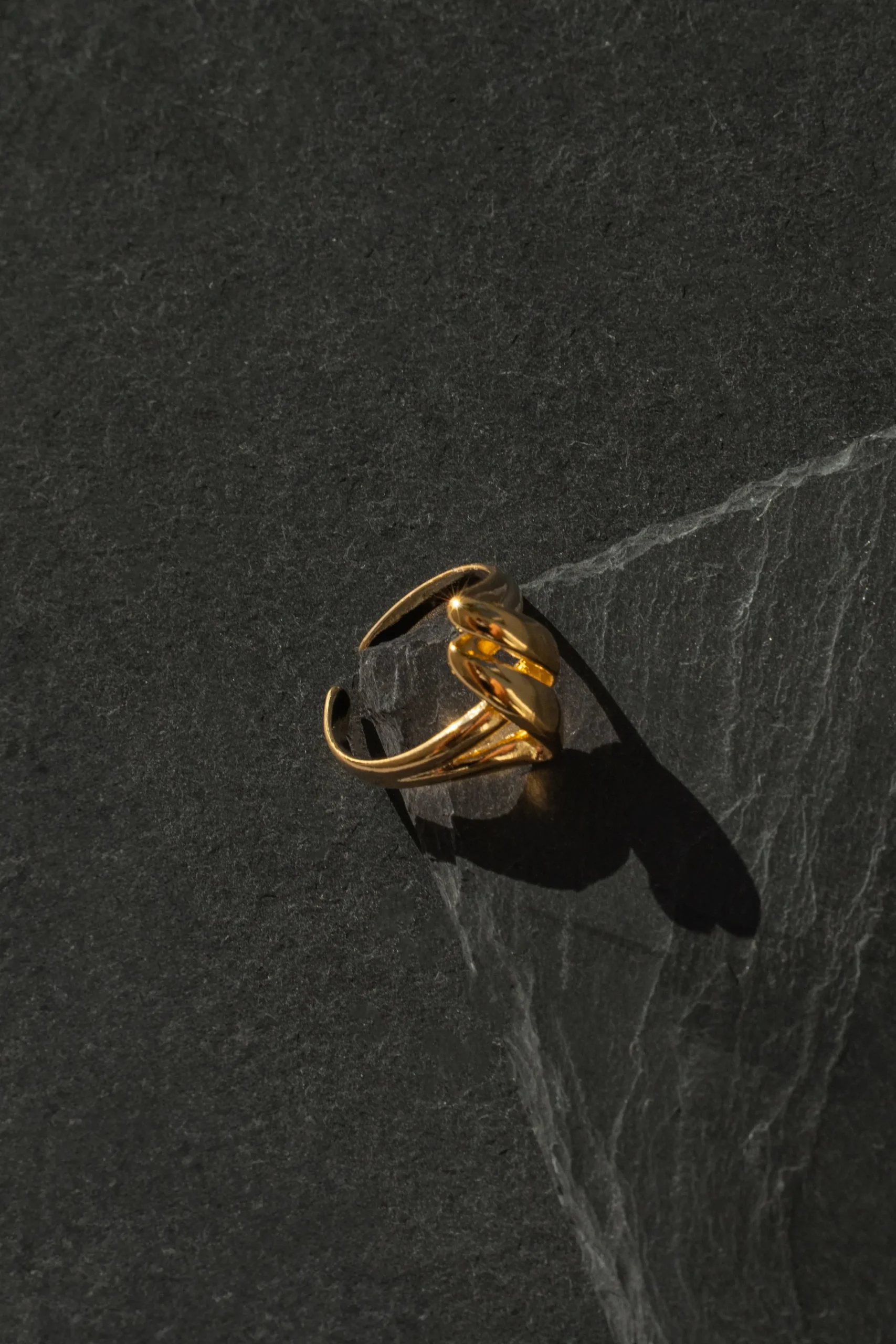 JLUXLABEL Gold Shelby Ring