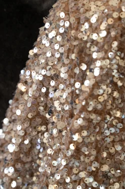 JLUXLABEL Nixie Sequin Oversized Blazer