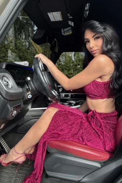 JLUXLABEL Red Chosen One Velvet Skirt Set